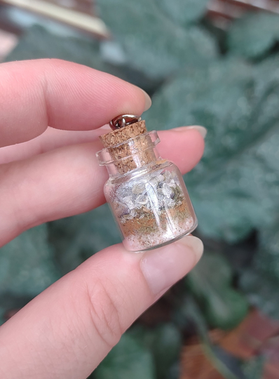 Powerful Intention Jar Pedants | Happiness, Peace, Balance, Protection, Success, & Love