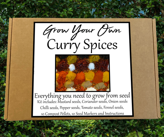 Grow Your Own Curry Spices Seed Kit - Herb Garden | Gardening Box Allotment Growing Window Herbs Spice Kit Birthday Just For You