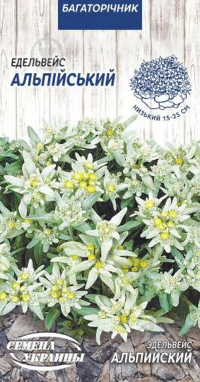 Organic Flower Seeds White Edelweiss"Alpine