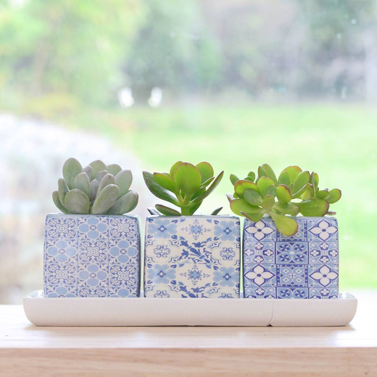 Set Of Three Blue Ceramic Cubic Planters