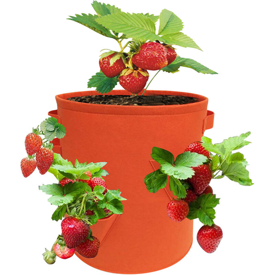 10 Gallon Strawberry Grow Bags with 8 Grow Pouches Planter Box Vegetable Grow Bag Breathable Garden Growing Bag with Handles for Potato Strawberry