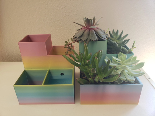 Succulent Planter With Drainage System