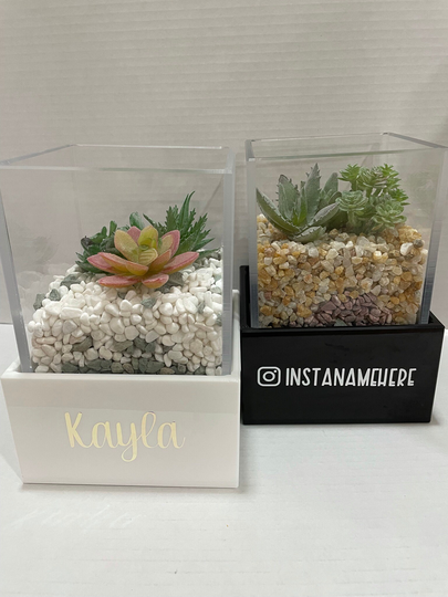 Personalized Planter Clear Acrylic Holographic Name Insta Tray Drainage Holes Custom Gift Plant Lovers Small Business Office Desk Modern