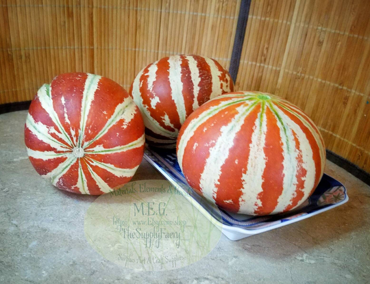 Kajari Seeds Kajari Melon Cucumis Melo