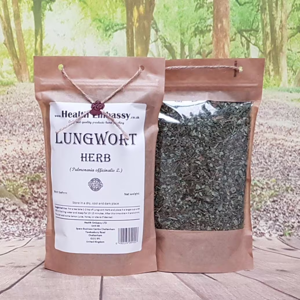 Lungwort Herb | Pulmonaria Officinalis L Health Embassy Natural Herbal Tea