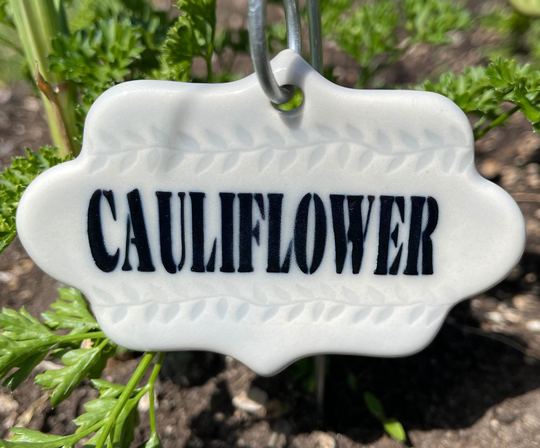 Set Of 5 Garden Markers/Garden Stakes. Vegetable/Herb Markers. Plant Name Tags. Handmade By Fabulousfungi