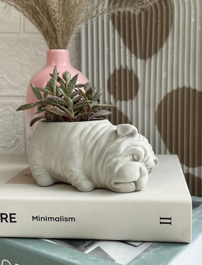 Concrete Dog Planter, Indoor Planter, Housewarming Gift, Succulent Pot, Cactus Pot, Dog Lover Gift, Dog Decor, Air Plant Holder, Flower Pot