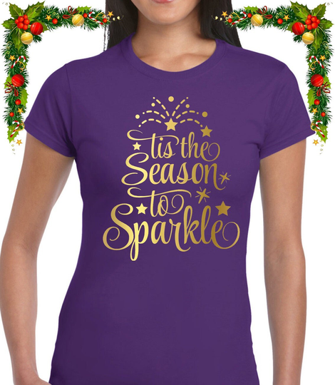 Tis The Season To Sparkle Christmas Ladies T Shirt Cool Festive Xmas Design Top Womens Funny Gift Present Idea Mum Wife Top Tee