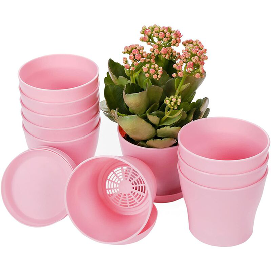 Briday - 10 Pcs Plastic Planters Indoor Flower Plant Pots, Mini Flower Seedlings Nursery Pot/Planter/Flower Pot with Pallet, Modern Decorative