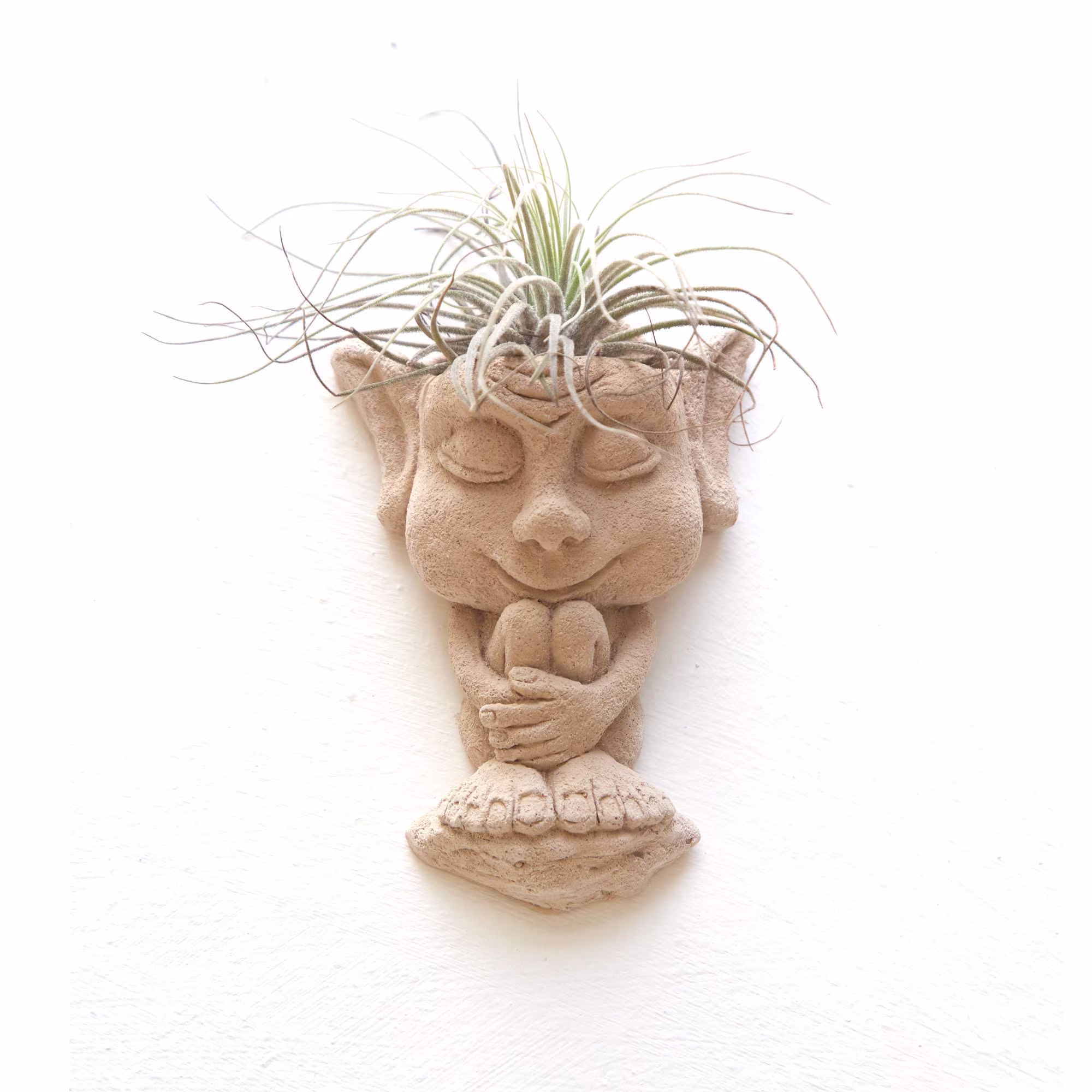 Sleepy Gargoyle Air Plant Holder, Air Pot, Indoor Planter, Sculpture, Wall Hanging, Sculpture Decor, Grotesque Creature
