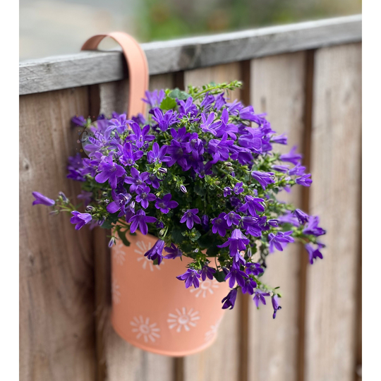 Peach Hanging Planter Outdoor Metal Pot Garden Bright Accessories Fence Balcony Herbs