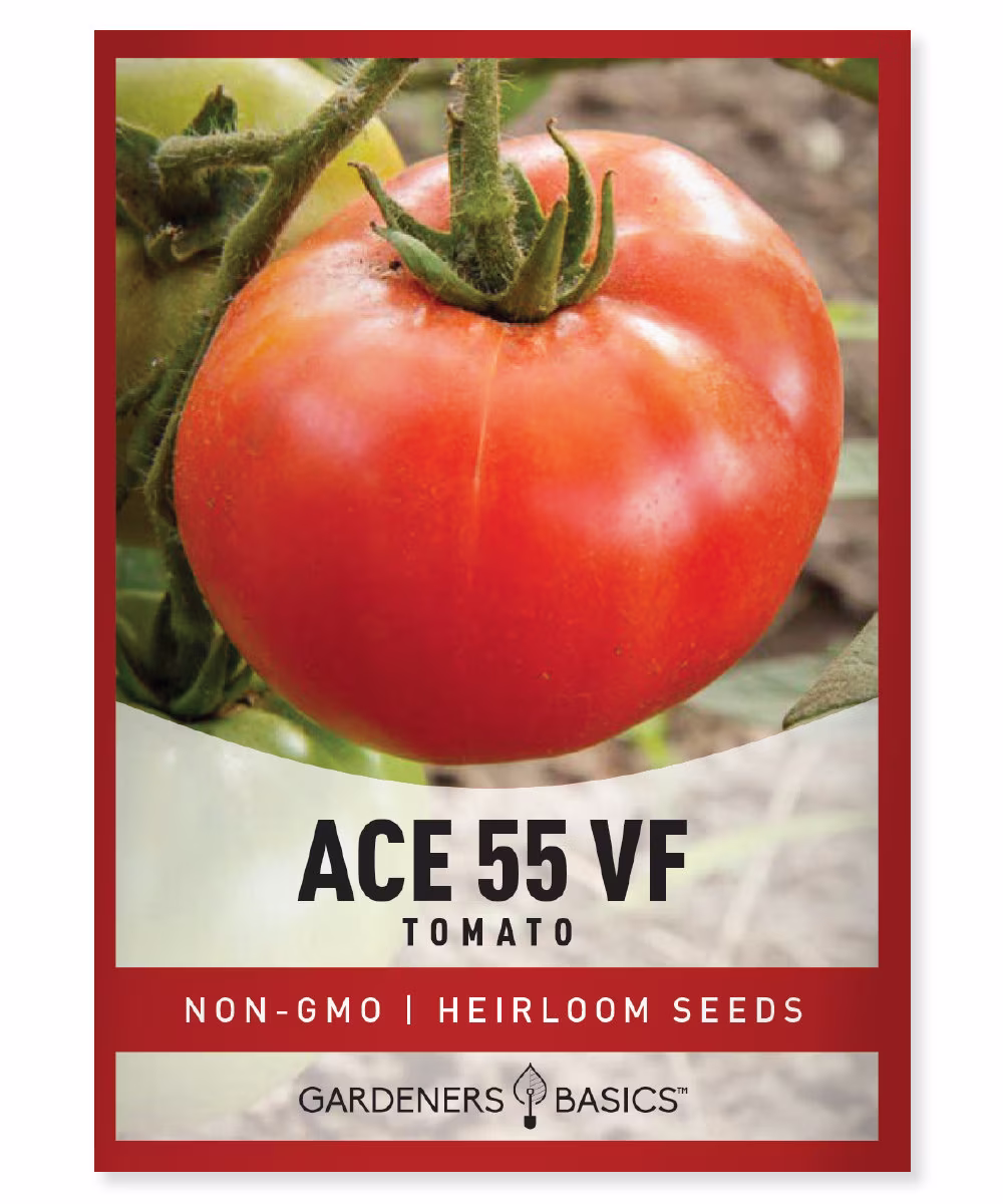 Ace 55 Vf Tomato Seeds For Planting - Heirloom, Non-Gmo Vegetable Great Outdoor Home Garden