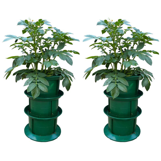 Selections - Platform Potato Growpot Planter (Set of 2)
