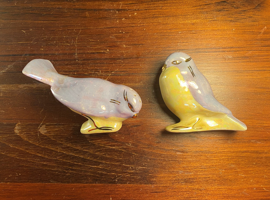 Purple & Yellow Bird Salt Pepper Shakers