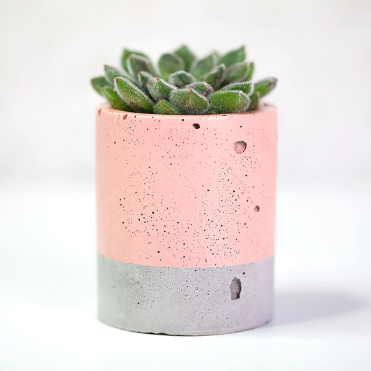 Concrete & Peach Plant Pot - Planter Cactus Planter Succulent Pots Pot