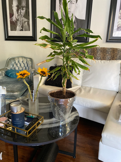 Large Gardening Disco Ball Pot