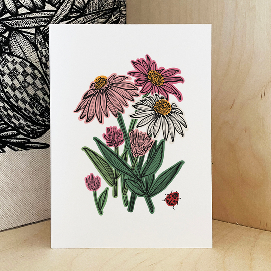 Echinacea Coneflower Herb Digital Art Print - Gardener Gift, Botanical Folk Wall Decor