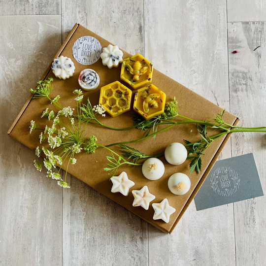 Wax Melt Refill Box - Spring Seasonal Selection With Botanicals