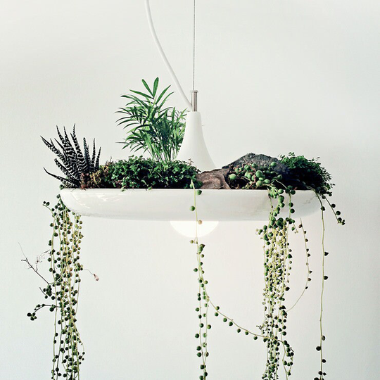 Babylon Hanging Pendant Plant Light