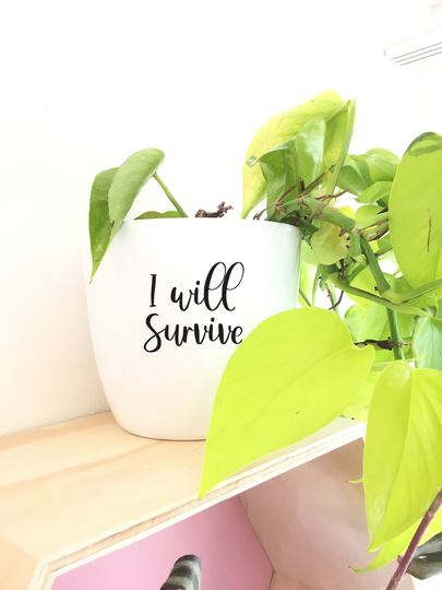 Diy Decal For Pot Planter I Will Survive