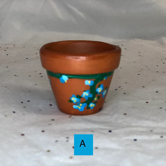 Mini Hand Painted Terracotta Pot/ Succulent Seed Starter 1.5