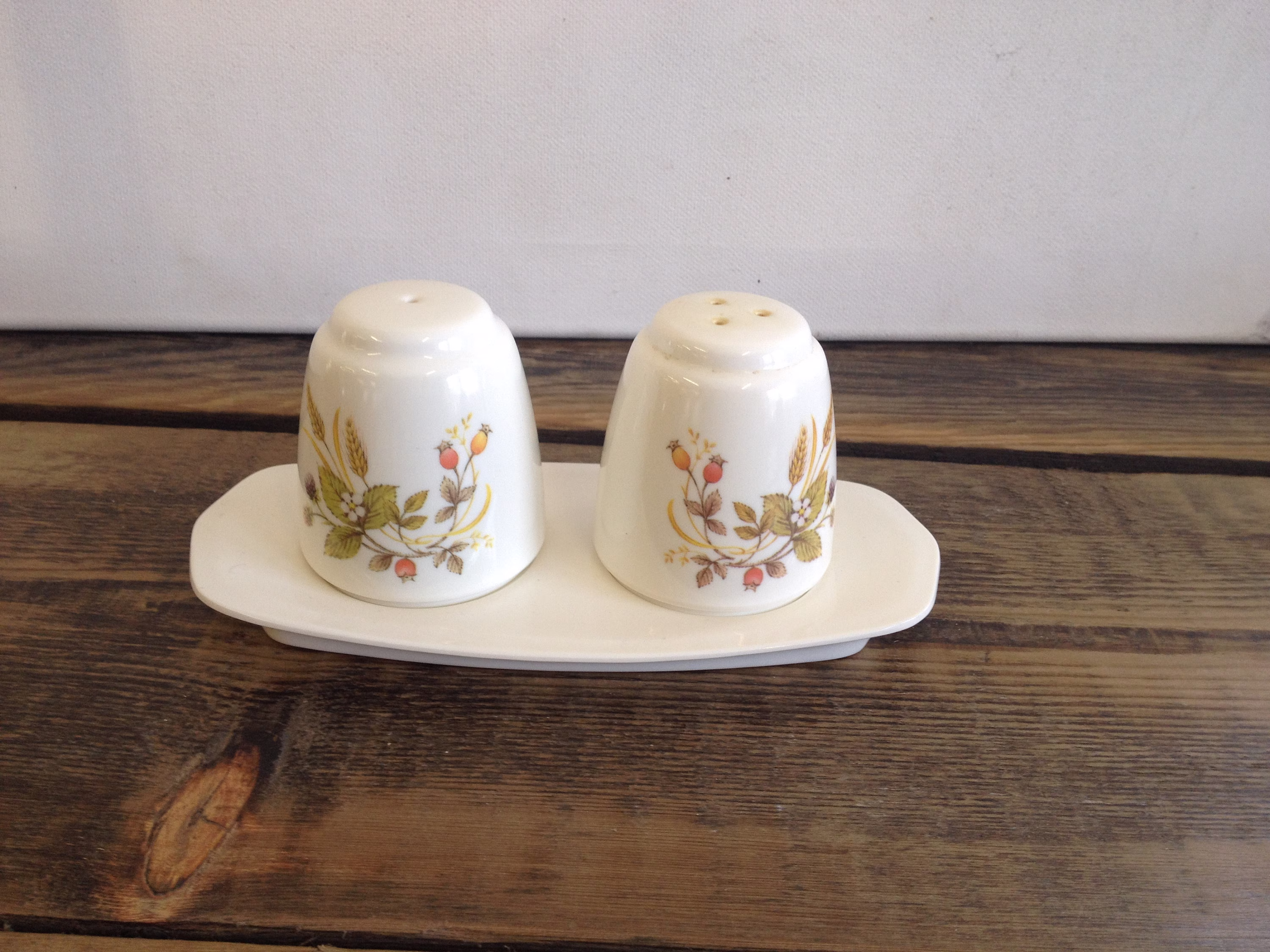Vintage Cream Plastic Autumn Pattern 3 Piece Salt, Pepper & Stand Lovely Cruet Set in Good Condition