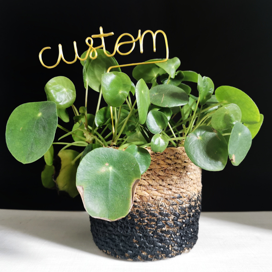 Custom Plant Marker - Topper Customised Personalised Garden Herb Decor Gift Home