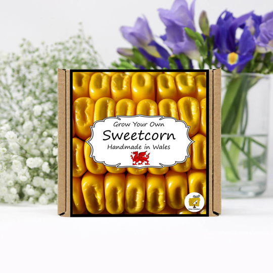 Grow Your Own Vegetable Kit / Sweetcorn