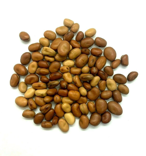 Small Fava Beans | Faba Grown Broad Organic Seeds Whole Palestinian High Quality