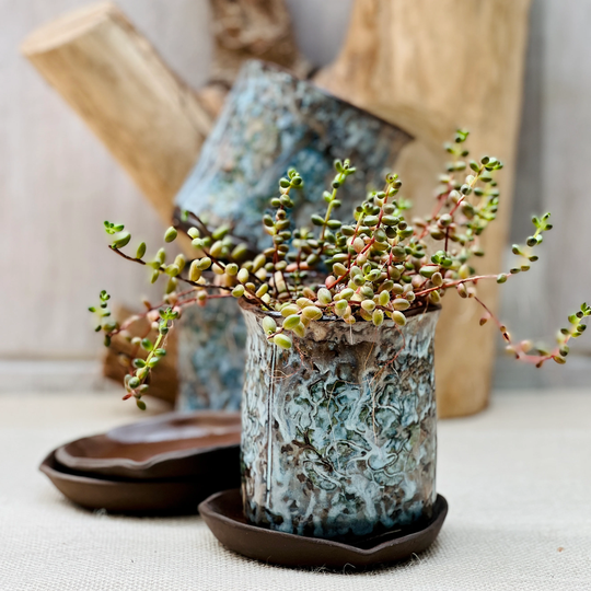 Drain Planter, Succulent Pot, Ceramic Container With Drainage, Gift For Her, Plant Lover Gift, Moving Present, Summer