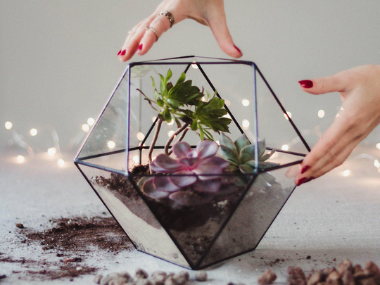 Large Glass Terrarium, Geometric Modern Table Centerpiece, Planter, Succulent Moss Gardening Gift