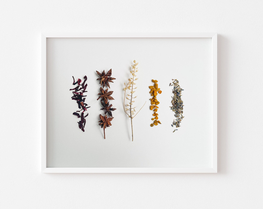 Spices & Herbs Art, Medicinal Herb Art, Plant Print, Farmhouse Wall Decor, Botanic Hygge Botany Minimalist Art Print