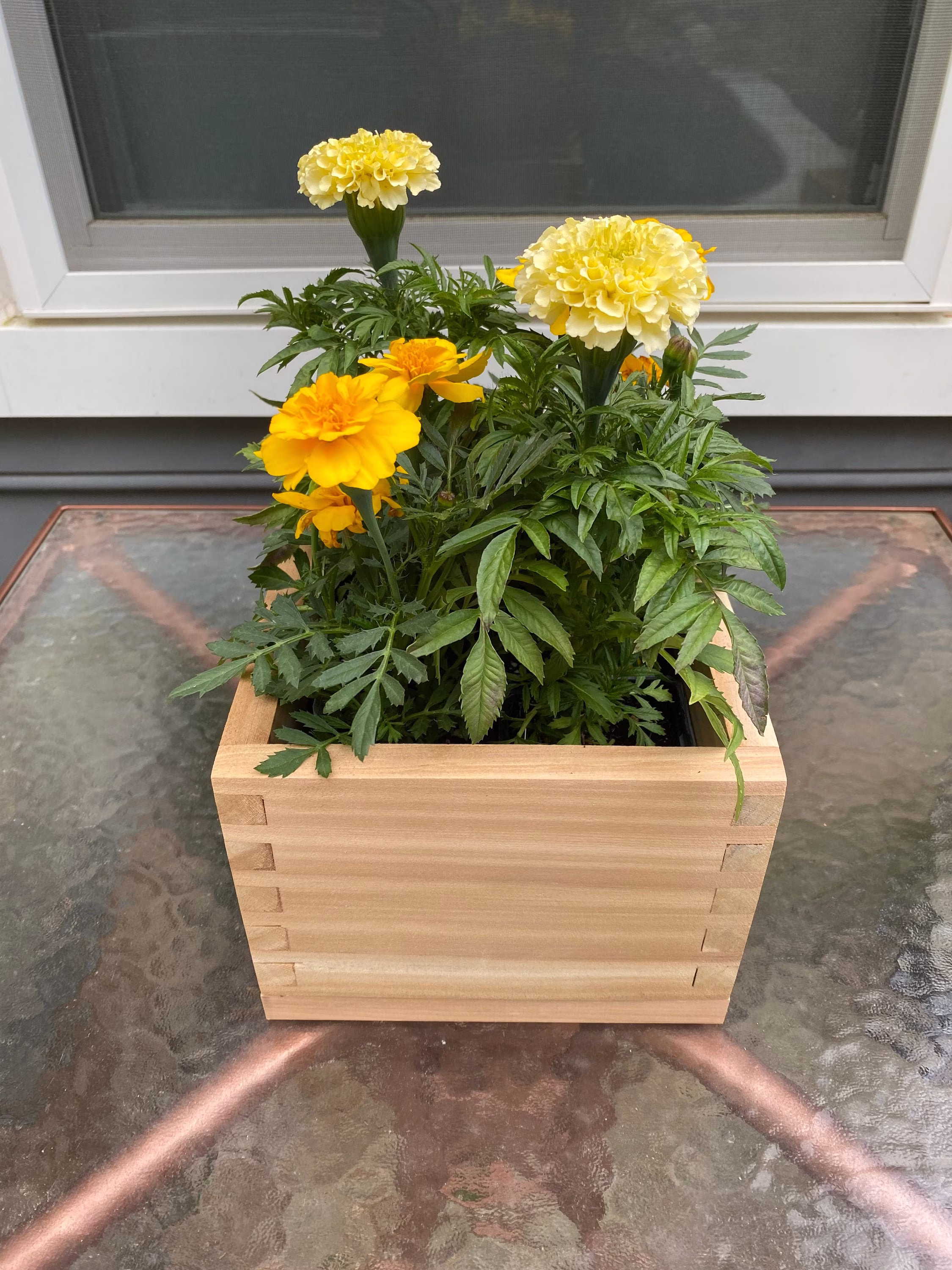 Planter Box - Cedar Dovetail Corners Square Or Small | 12", Medium(24", & Large | 36" Rectangles 5.5" Width, 6
