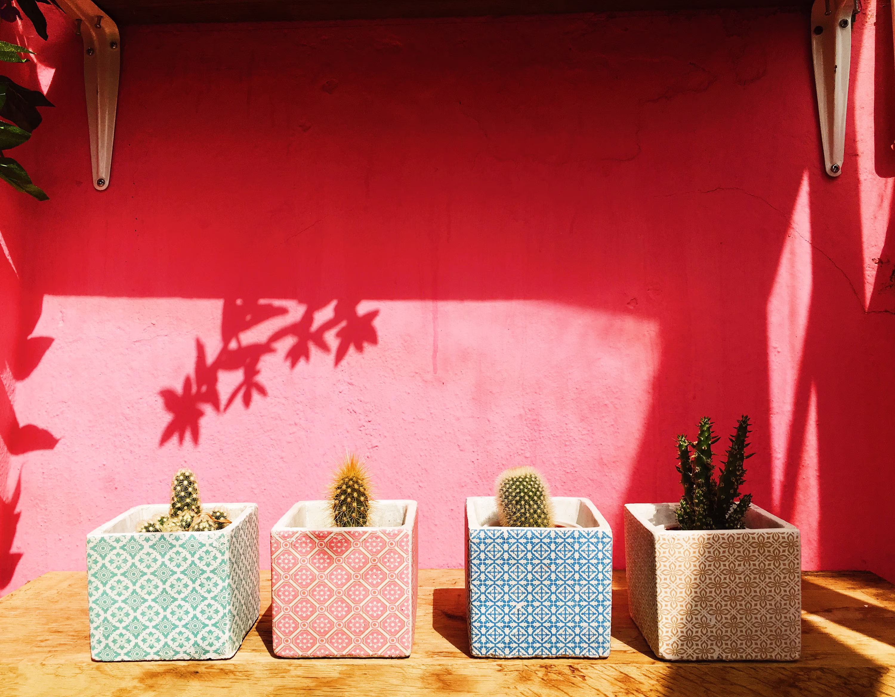 Four Coloured Square Cement Pots