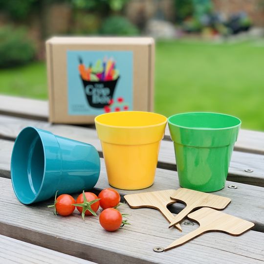 Grow Your Own Cherry Tomatoes Kit