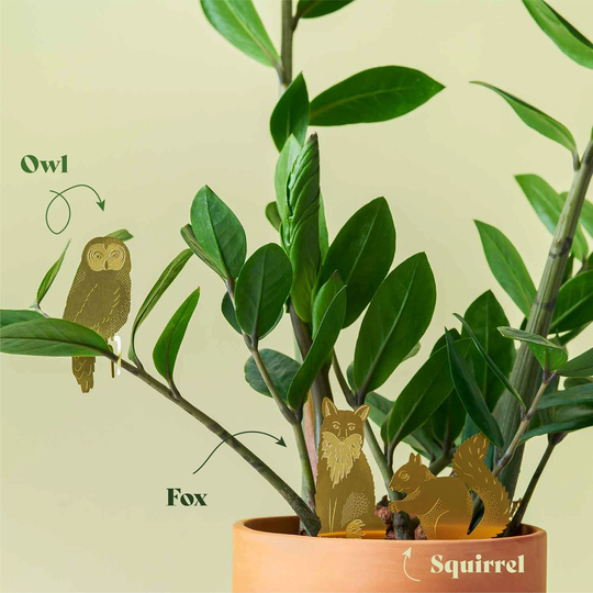 Woodland Wildlife Set Of 3, Plant Animal Houseplant Decoration Fox, Owl & Squirrel