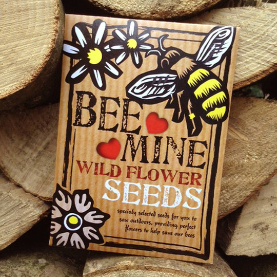 'Bee-Mine' Bee Friendly Wild Flower Seeds