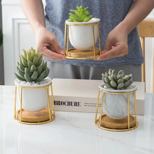 Simple & Cute Succulent Planter Pot With Drainage Hole Saucer