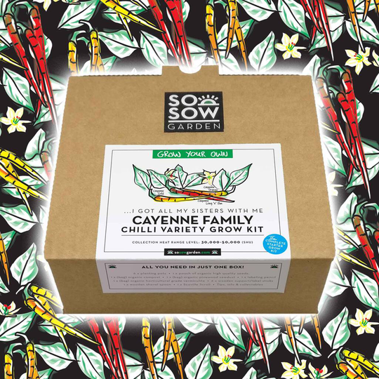 Chilli Pepper Variety Grow Your Own Kit Cayenne Family