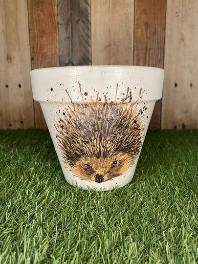 Hedgehog Plant Pot, Hedgehog Gift, Indoor Planter, Outdoor 15cm Pot | 63