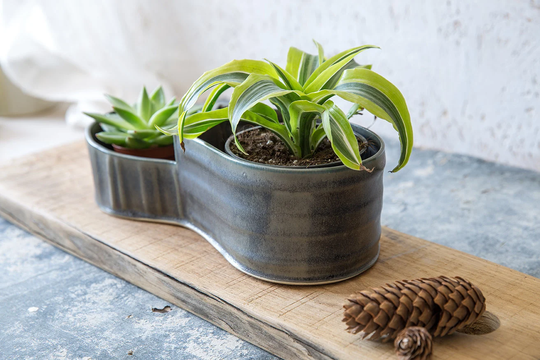 Large Ceramic Planter, Green Pottery Planter