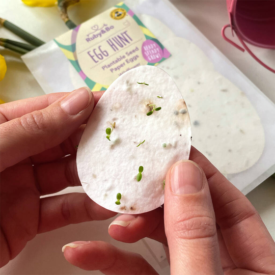'Egg Hunt' Plantable Seed Paper Easter Eggs