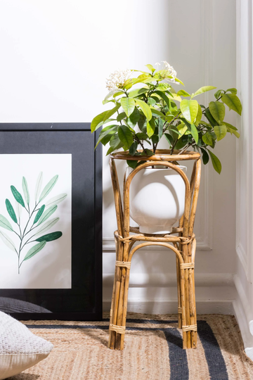 Rattan Planter Pot Stand