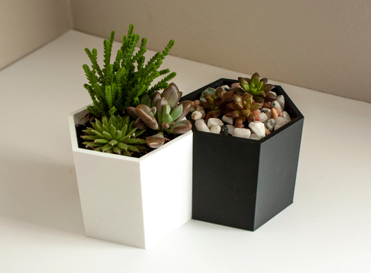Minimalist Honeycomb Pot - 3D Printed Biodegradable Succulent
