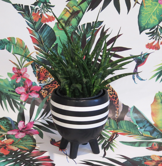 Black & White Striped African-Inspired Indoor Or Outdoor Planter Flower Pot - Home Decor Exotic Plant