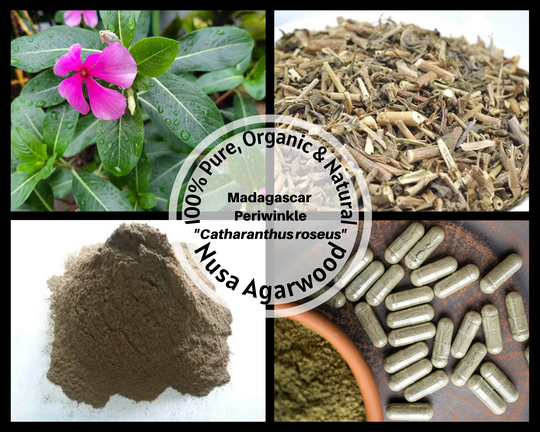 Dried Leaves/Powder/Capsule - Madagascar Periwinkle/Catharanthus Roseus Bright Eyes Cape Graveyard Plant Organic 100%