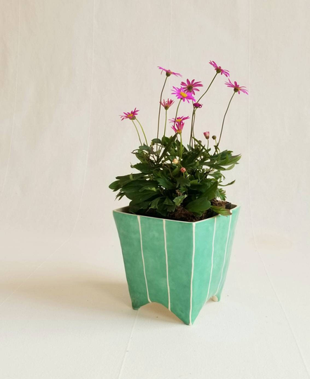 Indoor Plant Pot For Succulent Or Cactus. Herb Planter