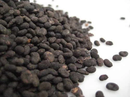 Babchi Seeds - Bu Gu Zhi Psoralea Corylifolia 50 Grams