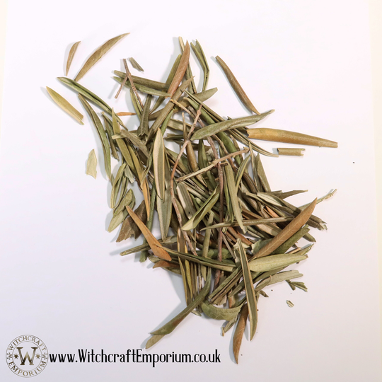 Olive Leaves - Herb Organic Natural Vegan Pagan Wicca Wiccan Spell Potion Ritual Magic Magick Energy Tea