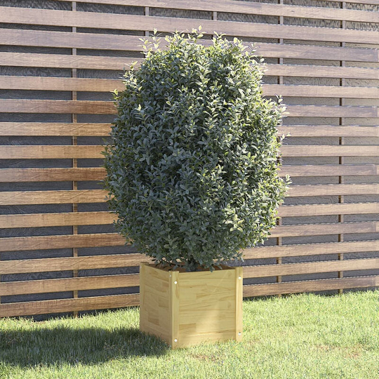 Asupermall - Garden Planter 40x40x40 cm Solid Pinewood